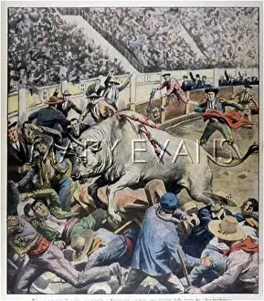 Dashes: BULL AND SPECTATORS