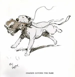Bull terrier with hare