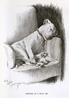 Bull terrier relaxing in an armchair