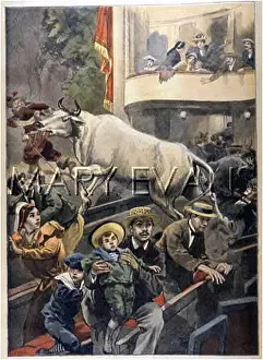 Theatregoers: BULL IN THE THEATRE/1897