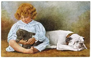 Cuddles: Bulldog