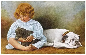 Cuddles: Bulldog