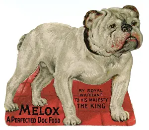 Defies: BULLDOG ADVERTISEMENT