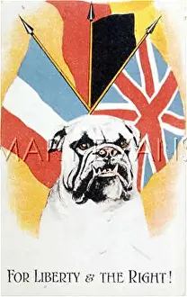 Belligerent: BULLDOG AND ALLIED FLAGS