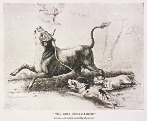 Baiting: Bulldog - Baiting Bull