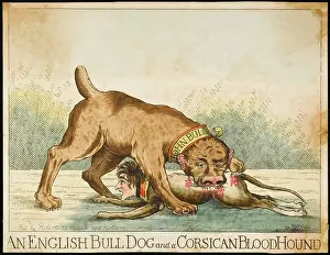 Corsican: BULLDOG AND BLOODHOUND