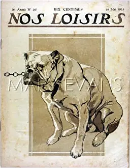 Loisirs: BULLDOG (NOS LOISIRS)