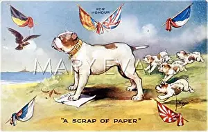 Contempt: BULLDOG AND PUPS