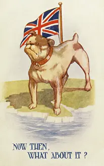 Defies: BULLDOG AND UNION JACK