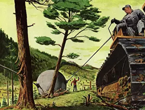 Bulldozers: Bulldozing Trees with Ball