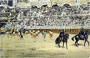 Cunning: BULLFIGHT SERIES - 1