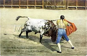 Muleta: BULLFIGHT SERIES - 10