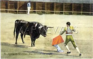 Executes: BULLFIGHT SERIES - 12