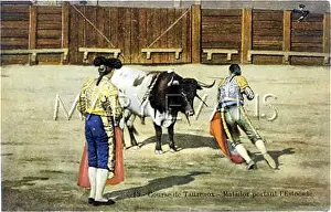 Executes: BULLFIGHT SERIES - 13