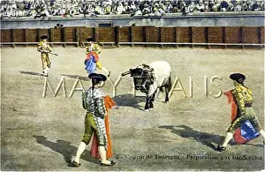 Banderillas: BULLFIGHT SERIES - 3
