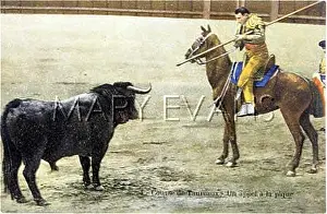 Pica: BULLFIGHT SERIES - 4