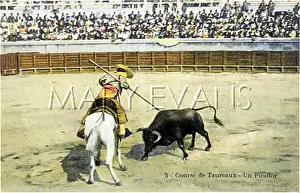 Pica: BULLFIGHT SERIES - 5
