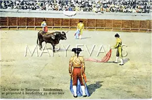 Banderillas: BULLFIGHT SERIES - 7