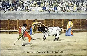 Banderillero: BULLFIGHT SERIES - 8