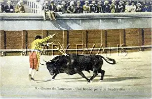 Banderillero: BULLFIGHT SERIES - 9