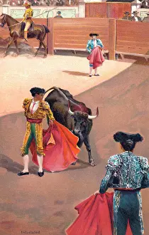 Infuriated: Bullfighting