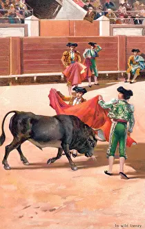 Frenzy: Bullfighting