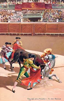 Picador: Bullfighting