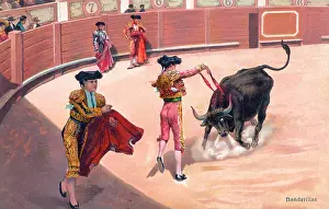 Banderillas: Bullfighting