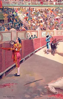 Toreador: Bullfighting