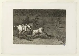 Bullfighters: Bullfighting