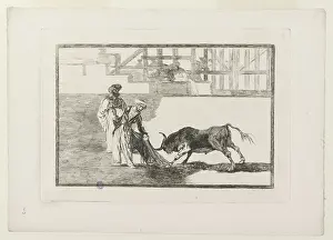 Moors: Bullfighting