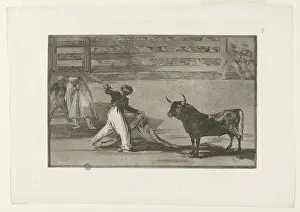 Bullfighters: Bullfighting
