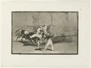 Bullfighting: Bullfighting