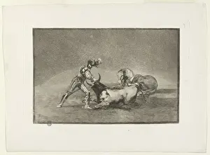 Bullfighting: Bullfighting