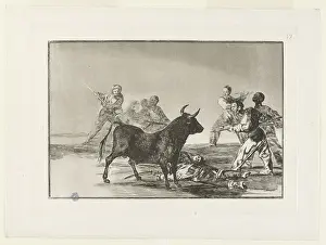 Spears: Bullfighting