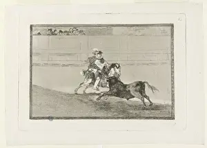 Bullfighting: Bullfighting