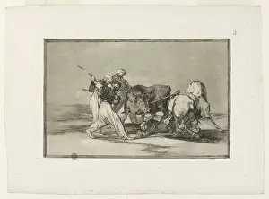 Bullfighting: Bullfighting