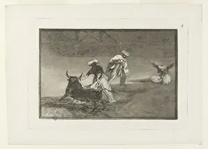 Bullfighting: Bullfighting