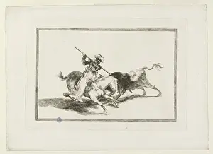 Bullfighting: Bullfighting
