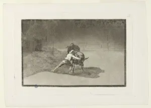 Bullfighting: Bullfighting