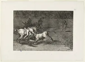 Bullfighting: Bullfighting
