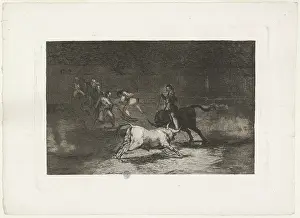 Bullfighting: Bullfighting