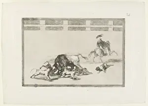 Bullfighting: Bullfighting