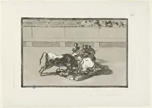 Bullfighting: Bullfighting