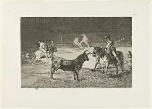 Bullfighting: Bullfighting