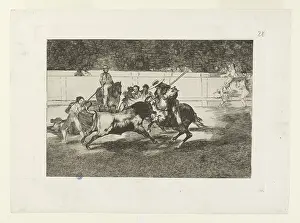 Bullfighting: Bullfighting