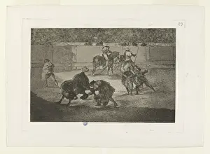 Bullfighting: Bullfighting