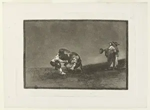 Bullfighting: Bullfighting