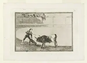Bullfighting: Bullfighting