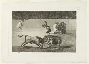 Bullfighting: Bullfighting